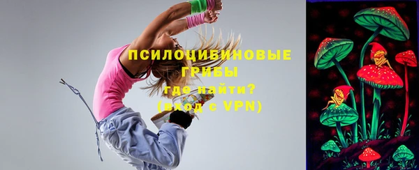 гашик Алзамай