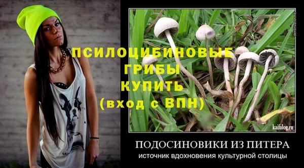 гашик Алзамай