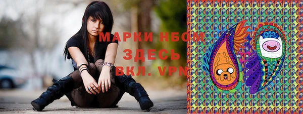 гашик Алзамай