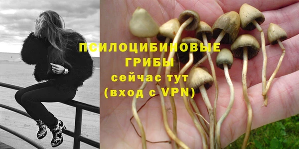 ГАЛЛЮЦИНОГЕННЫЕ ГРИБЫ Алексеевка