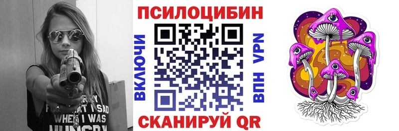 Псилоцибиновые грибы Psilocybine cubensis  купить   Котельники 